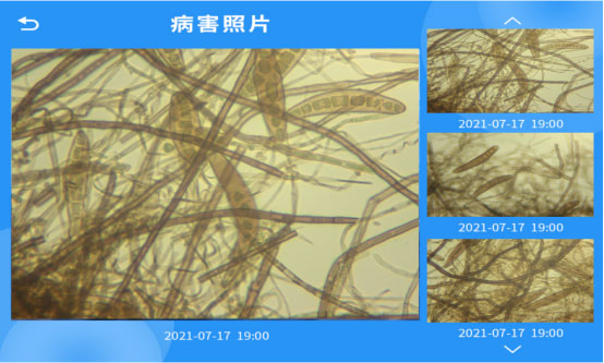 全自动孢子捕捉分析方案