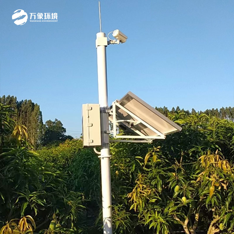 雷州市芒果产业园综合数字化公共服务平台项目