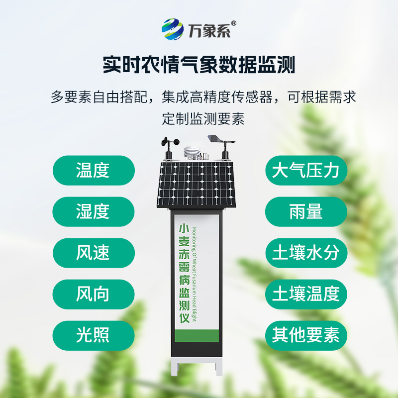 小麦赤霉病监测仪