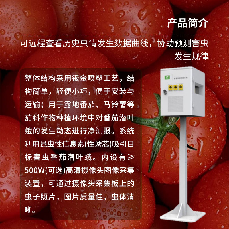 番茄潜叶蛾智慧性诱测报系统：高效诱虫、杀虫