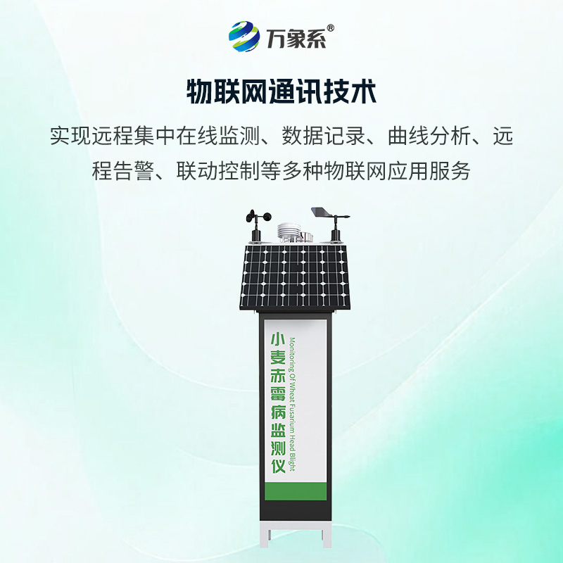 小麦赤霉病监测仪，如何抢占防控先机？