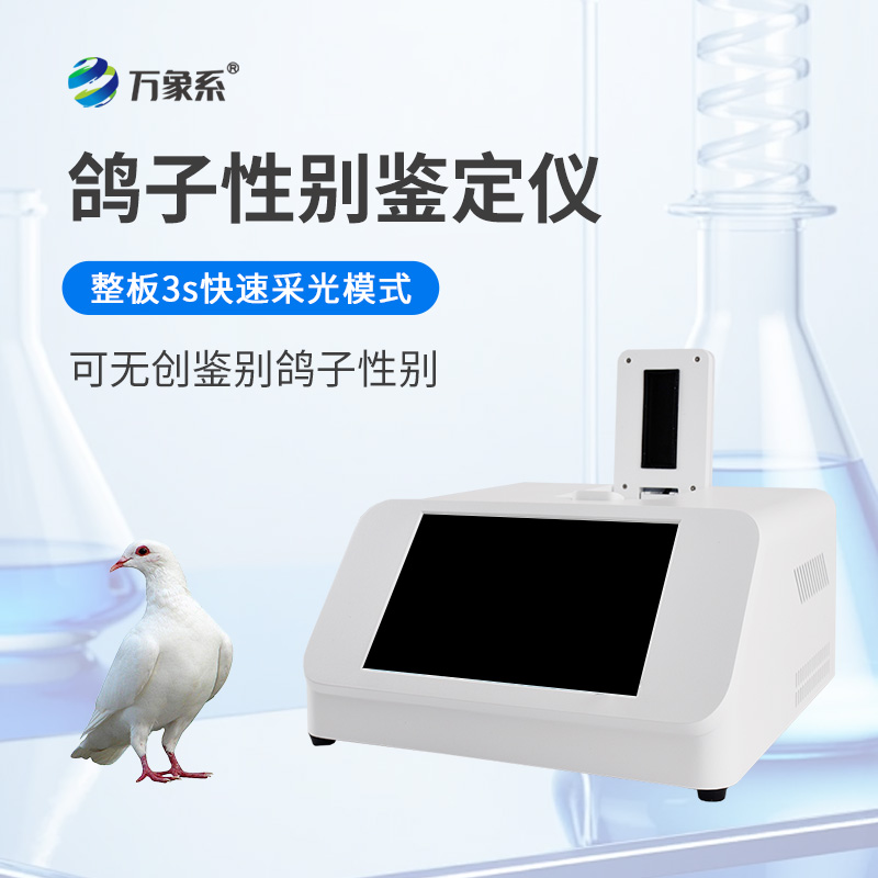 鸽子性别鉴别仪