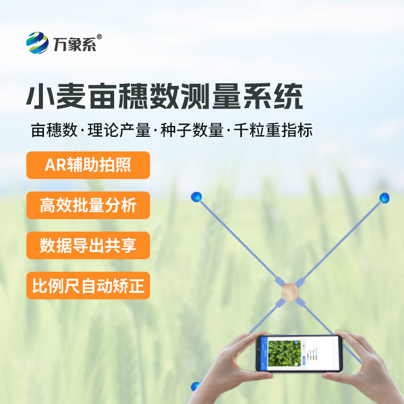 小麦亩穗数测量系统：麦田里的