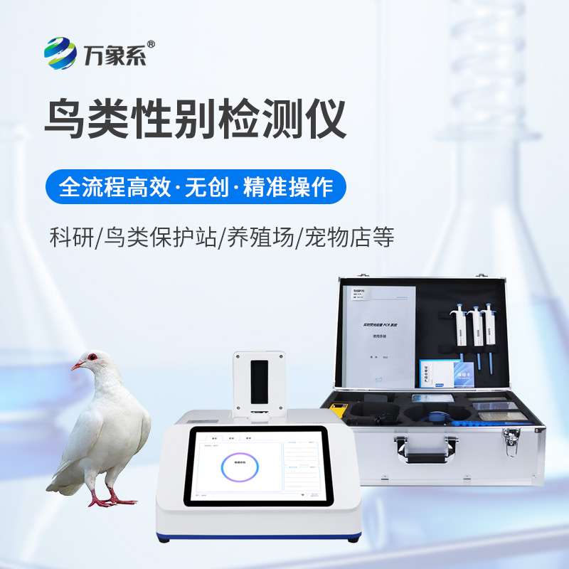 鸽子性别鉴别仪