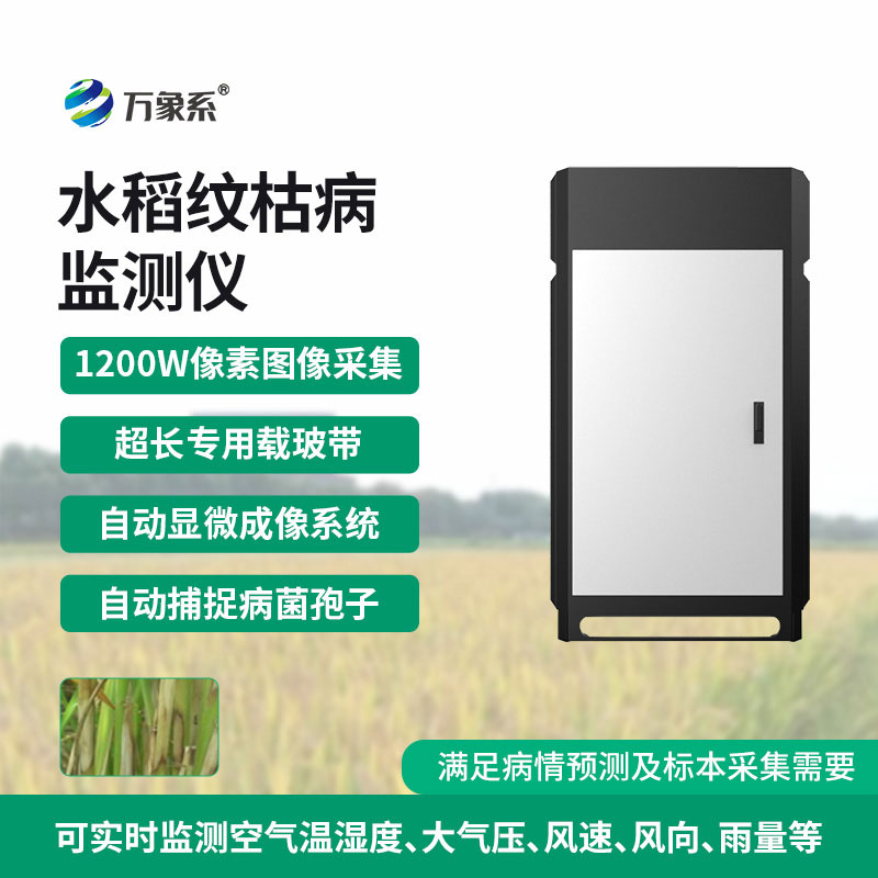 纹枯病测报仪上线，提前捕捉病害信号，守护粮食作物安全