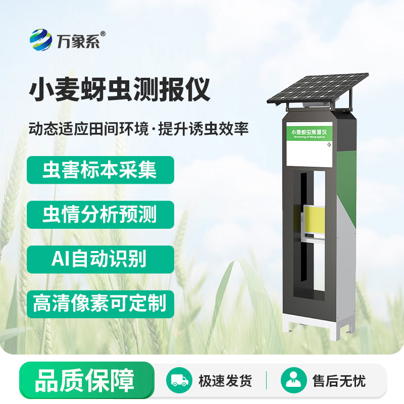 小麦蚜虫监测仪：如何精准防控小麦蚜虫虫害？
