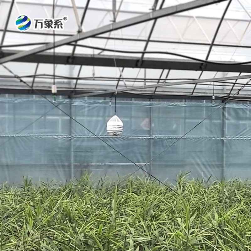 大棚水滴气象仪案例