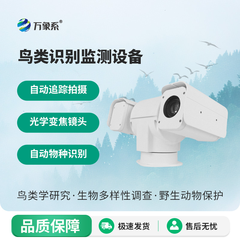 不用人工蹲守，鸟类识别监测设备全天候监测鸟类活动