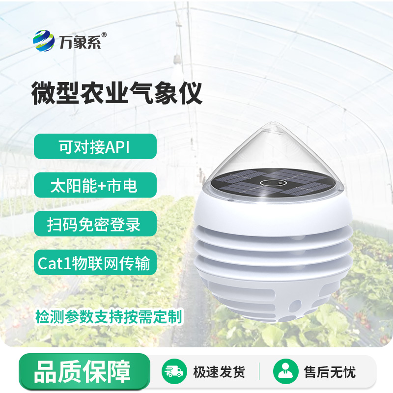 大棚小型气象仪：精准监测大棚环境，助力设施农业提质增效